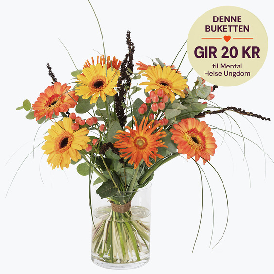 Mental Helse Ungdom - Gerbera